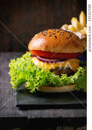 Homemade hamburger with french fries 19102506