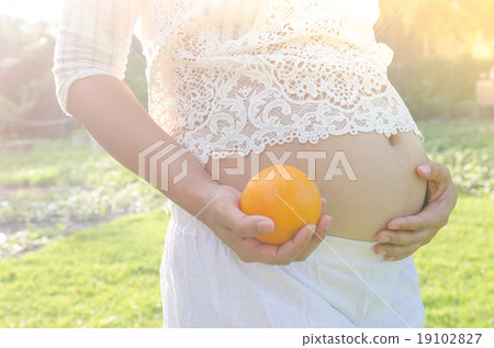 Close up pregnant belly holding oranges in hand 19102827