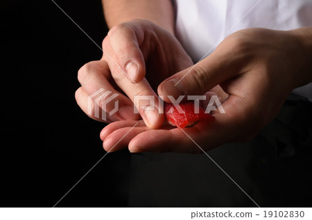 Sushi craftsmen handbags 19102830