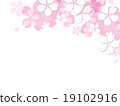 Sakura illustration 19102916