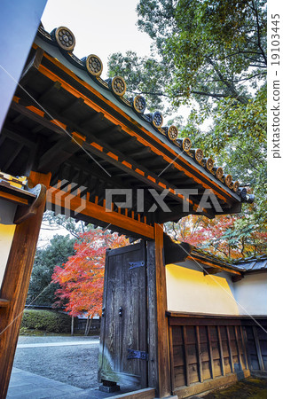 秋葉在前Hosokawa皇家之家的晚上 19103445