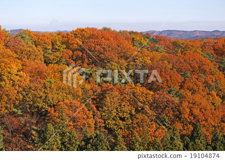 Scenery from the 1st resting place of the Ome Hills 19104874