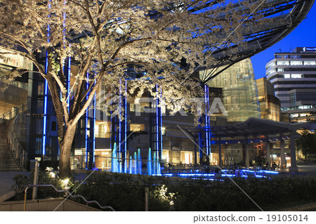 在夜櫻桃樹六本木新城的公共空間 19105014