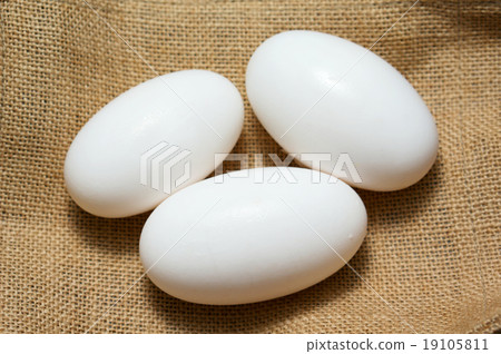 Crocodile eggs on burlap Crocodile eggs on burlap 19105811