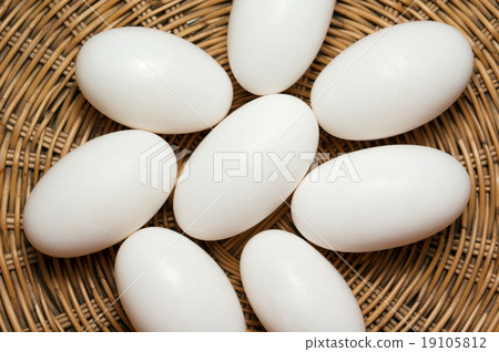 Pile of crocodile eggs Pile of crocodile eggs 19105812