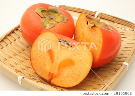 persimmon 19105968