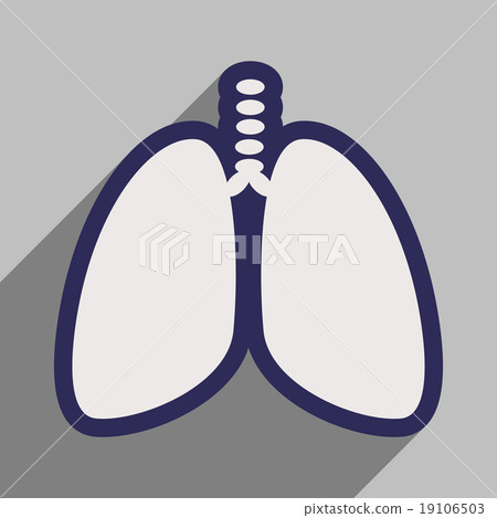 Icon of human lungs in flat style 19106503