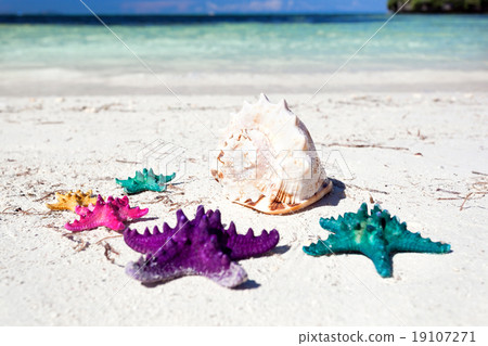Starfishes in tropic paradise. Travel  concept 19107271