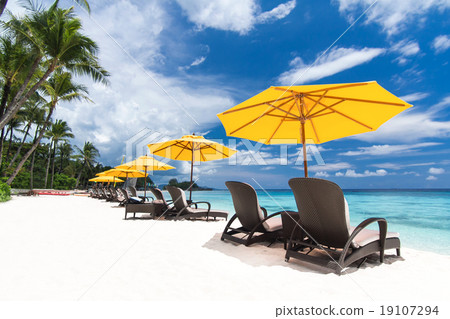 Tropical view Tropical view 19107294