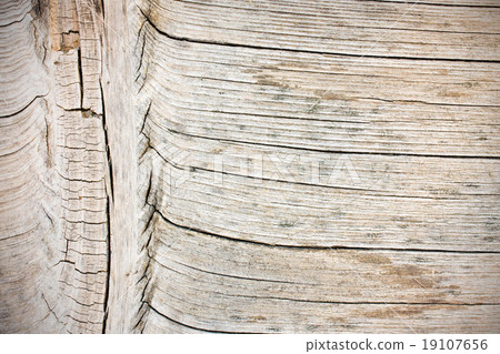 Old wood texture, background Old wood texture, background 19107656