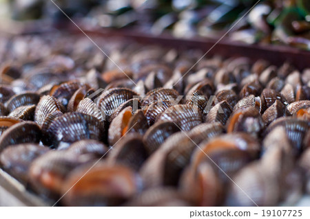 Oysters, mussels and scallops on asian market 19107725