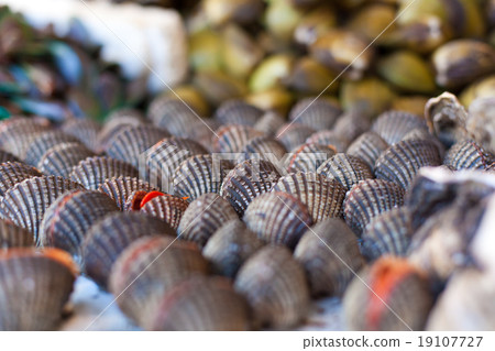 Oysters, mussels and scallops on asian market 19107727