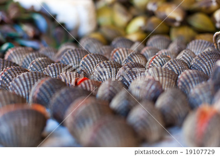 Oysters, mussels and scallops on asian market Oysters, mussels and scallops on asian market 19107729