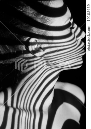 The face of woman with black and white zebra The face of woman with black and white zebra 19108489
