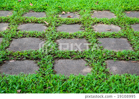 Grass green and walkway Grass green and walkway 19108995