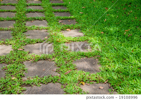 Grass green and walkway Grass green and walkway 19108996