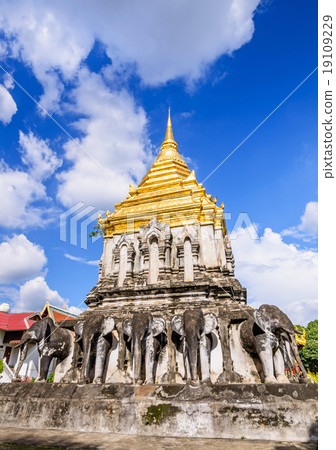 Wat Chiang Man Temple, Chiang Mai, Thailand 19109229