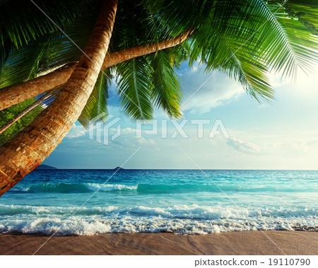 sunset on Seychelles beach sunset on Seychelles beach 19110790