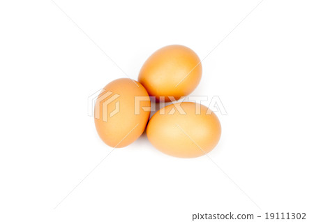 eggs eggs 19111302