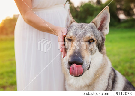 Woman with dog Woman with dog 19112078