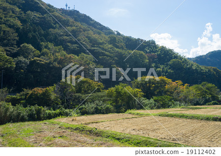 Izu-shi Rural landscape after harvest Izu-shi Rural landscape after harvest 19112402