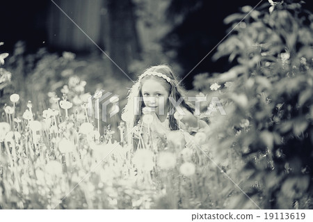 girl blowing a dandelion seeds flying 19113619