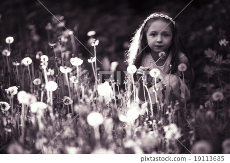 girl blowing a dandelion seeds flying 19113685