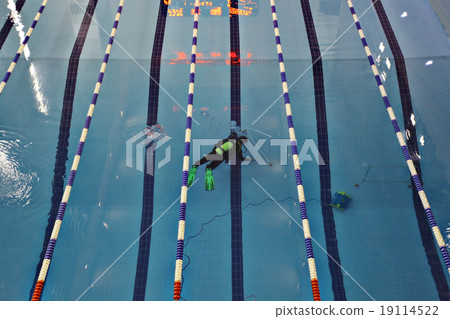 Swimming Pool Swimming Pool 19114522
