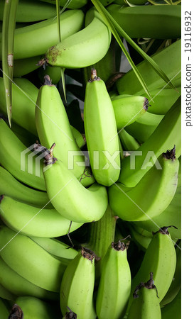 A heap of green bananas 19116932