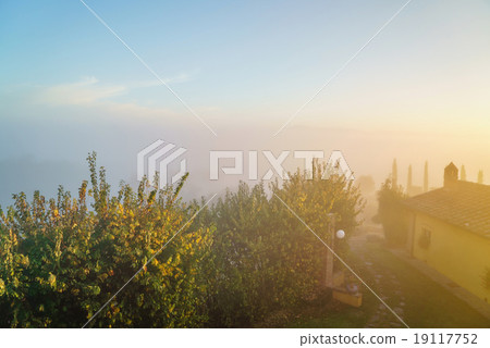 Beautiful cottage 19117752