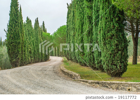 country road 19117772