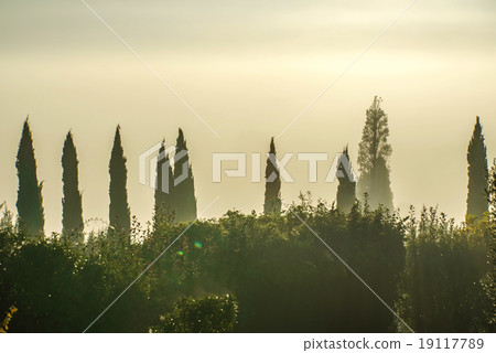 fields in the valley at sunset, Tuscany 19117789