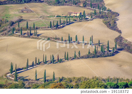 Tuscany landscape Tuscany landscape 19118372