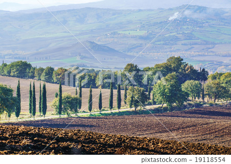 Tuscany landscape Tuscany landscape 19118554