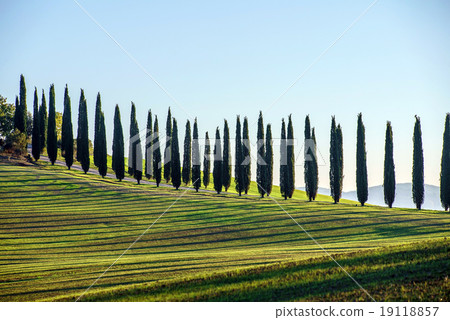 Tuscany landscape Tuscany landscape 19118857