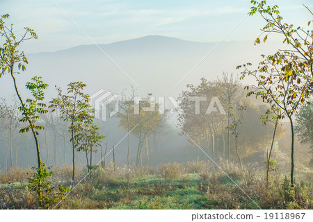 morning in Italy morning in Italy 19118967