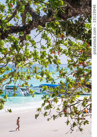 Phang Nga, Thailand-Feb 05, 2015 : clear water and beautiful sea 19119946