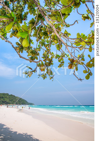 Koh Tachai Island, Phang Nga Province, Thailand 19120004