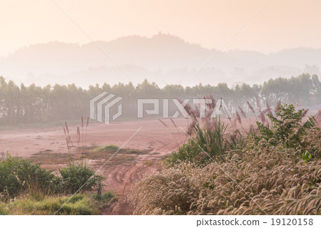 Phuthapboek Khoo kho , Phetchabun Thailand Phuthapboek Khoo kho , Phetchabun Thailand 19120158