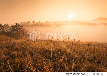 Landscape of mountain view at Phuthapboek Khoo kho , Phetchabun Landscape of mountain view at Phuthapboek Khoo kho , Phetchabun 19120163
