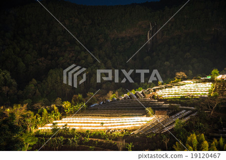 Nightscape of Greenhouse Plant and waterfall, Doi Inthanon, Chia 19120467