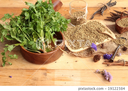 Dry coriander seeds and fresh coriander green. Dry coriander seeds and fresh coriander green. 19122384