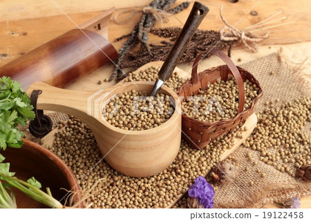 Dry coriander seeds and fresh coriander green. 19122458