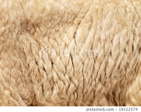 Sheepskin Background Sheepskin Background 19122574