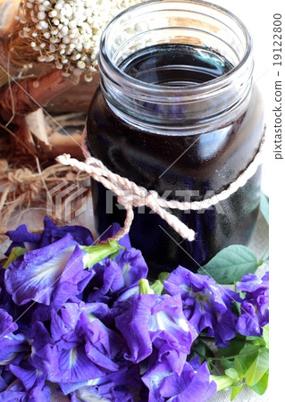 Anchan flowering water and fresh anchan flowers purple. Anchan flowering water and fresh anchan flowers purple. 19122800