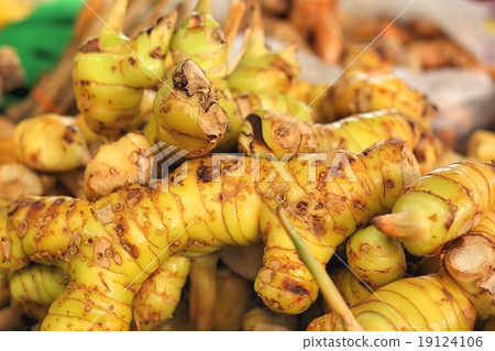 Ginger root in the market Ginger root in the market 19124106