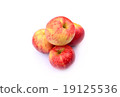 Red apple fruit isolated on white background 19125536