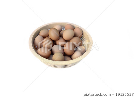 eggs on white background. eggs on white background. 19125537