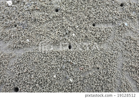 Texture of beach sand 19128512