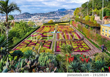Botanical garden in Funchal, Madeira, Portugal Botanical garden in Funchal, Madeira, Portugal 19128614